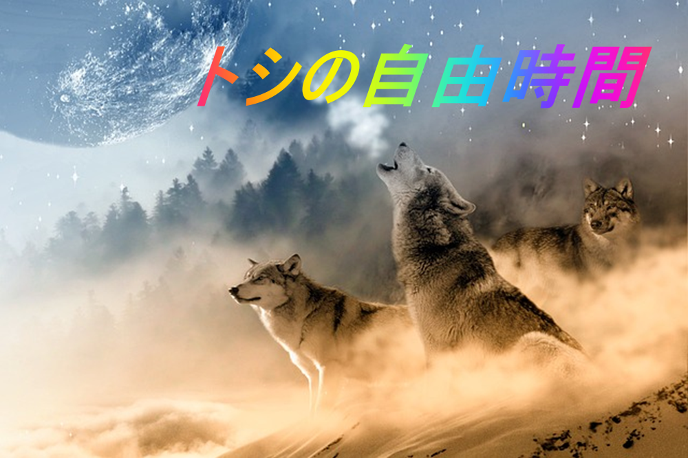 トシの自由時間